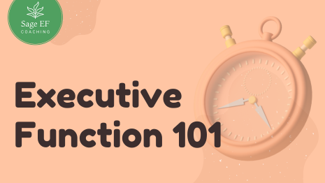 Executive Function 101 program provided by Sage EF Coaching